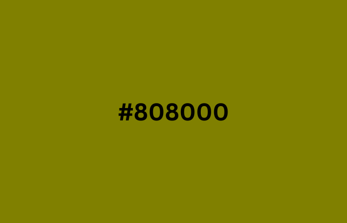 #808000