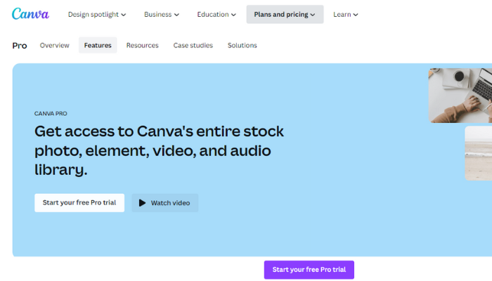 canva stock photos