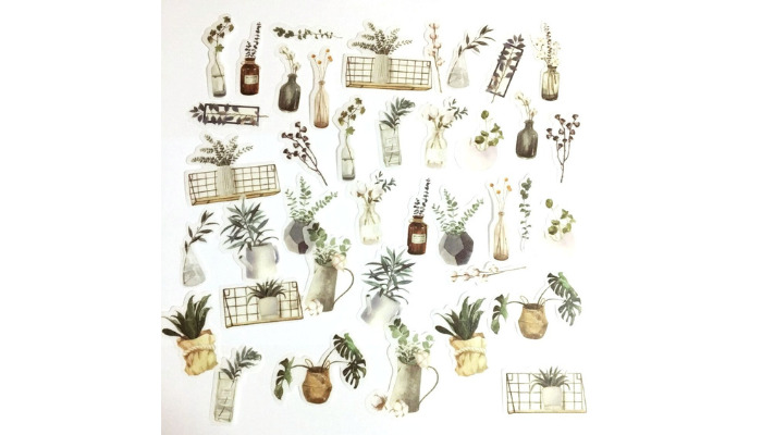 botanical and plant minimalism