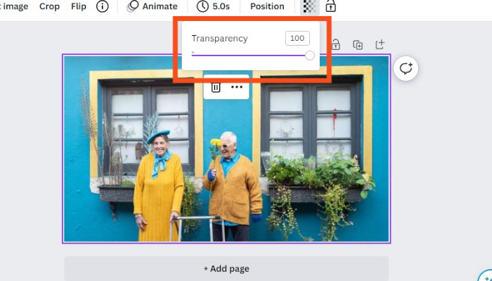 look for the transparency option and adjust - canva transparent background
