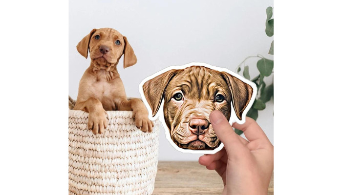 pet illustrations cool sticker ideas