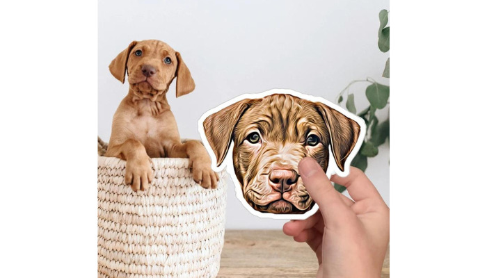 pet illustrations cool sticker ideas
