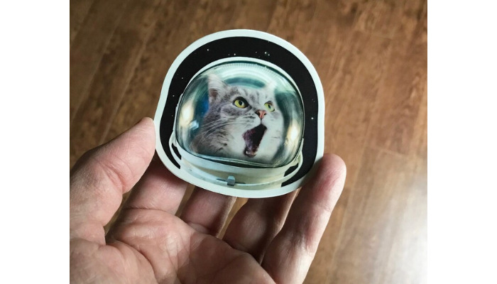 astronaut cat