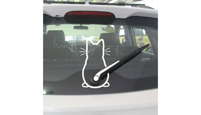 kitty cat in windshield