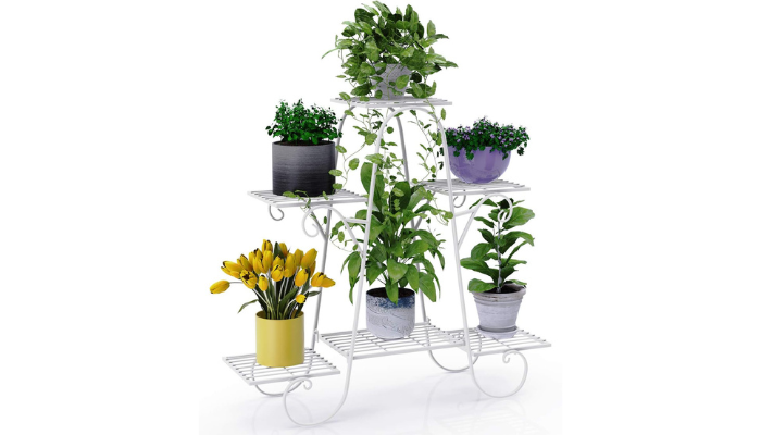 plant shelves