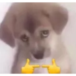 puppy - cute discord stickers