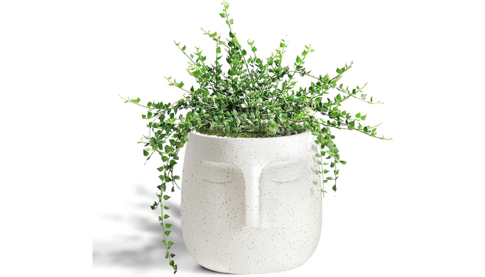 statue flower pot for streaming room background ideas