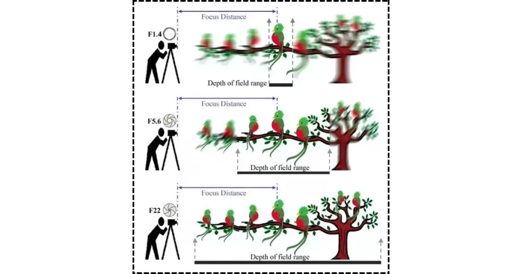 focus distance to blur the background of a picture