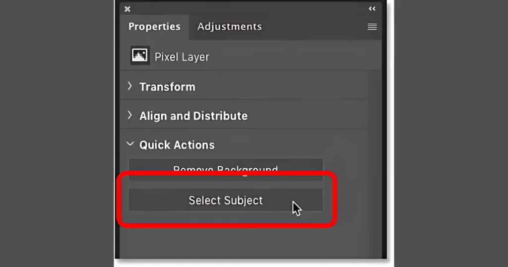 select subject option in photoshop to blur the background of a picture