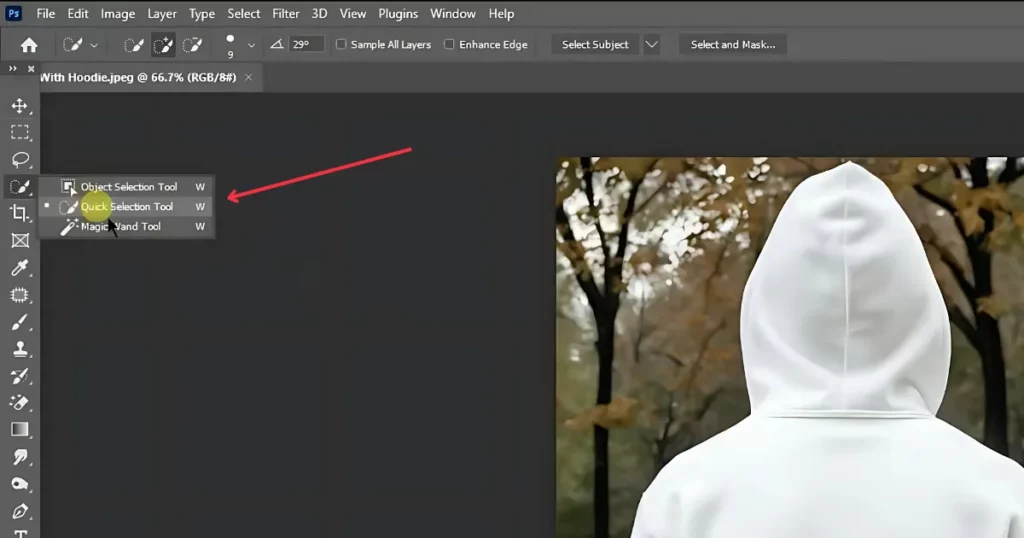 use the quick selection tool to outline the hoodie