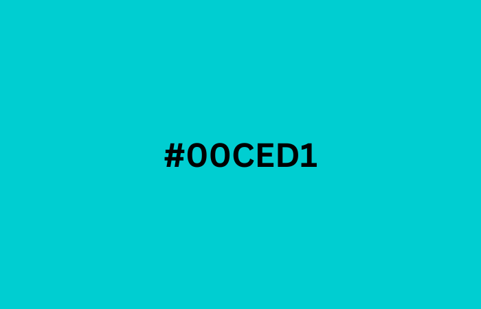 #00ced1
