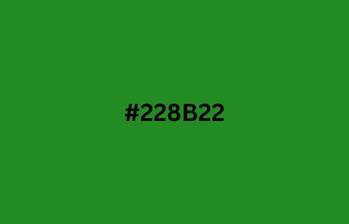 #228b22