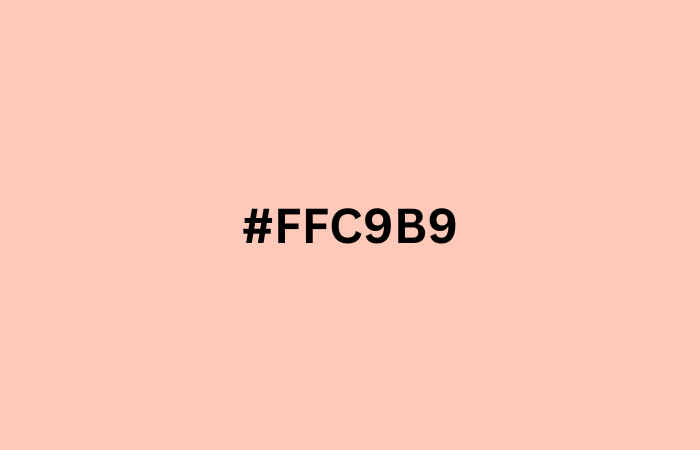 #ffc9b9