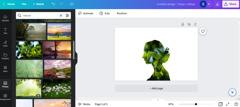 frame in canva