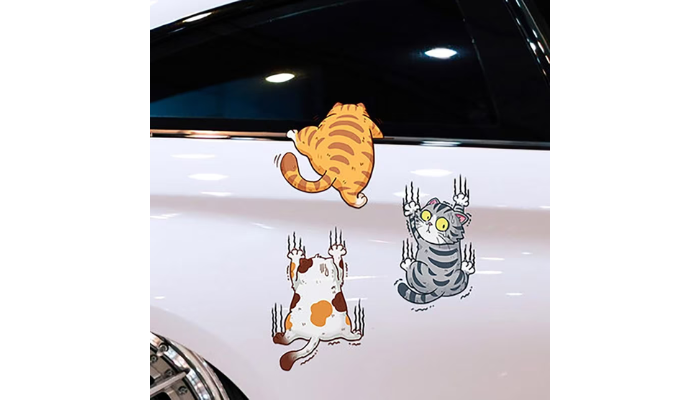 funny cat