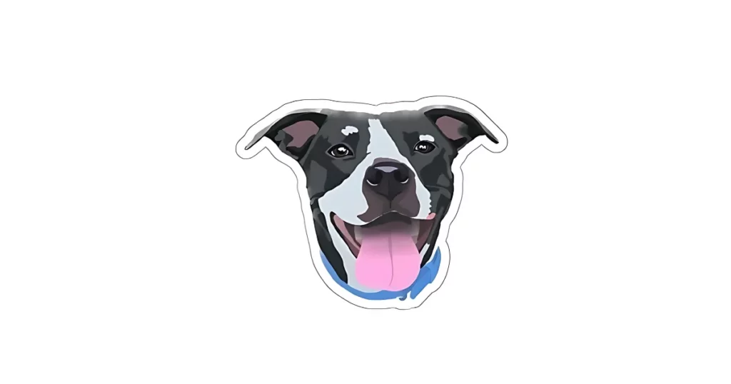 pet portraits - diy sticker idea