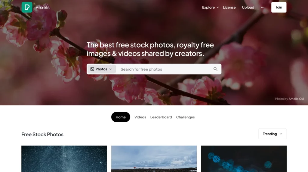 pexels - freepik alternative