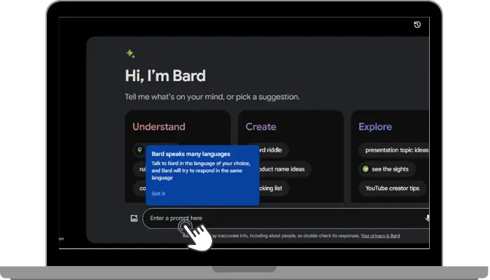 enter your prompt in box