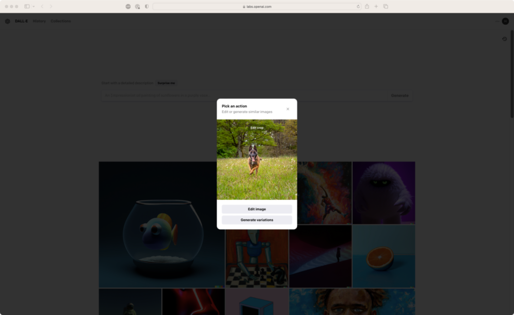 Zapier - How to use DALL·E 2 - Source Image