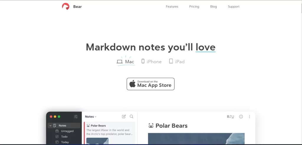 Bear - notion alternative for students