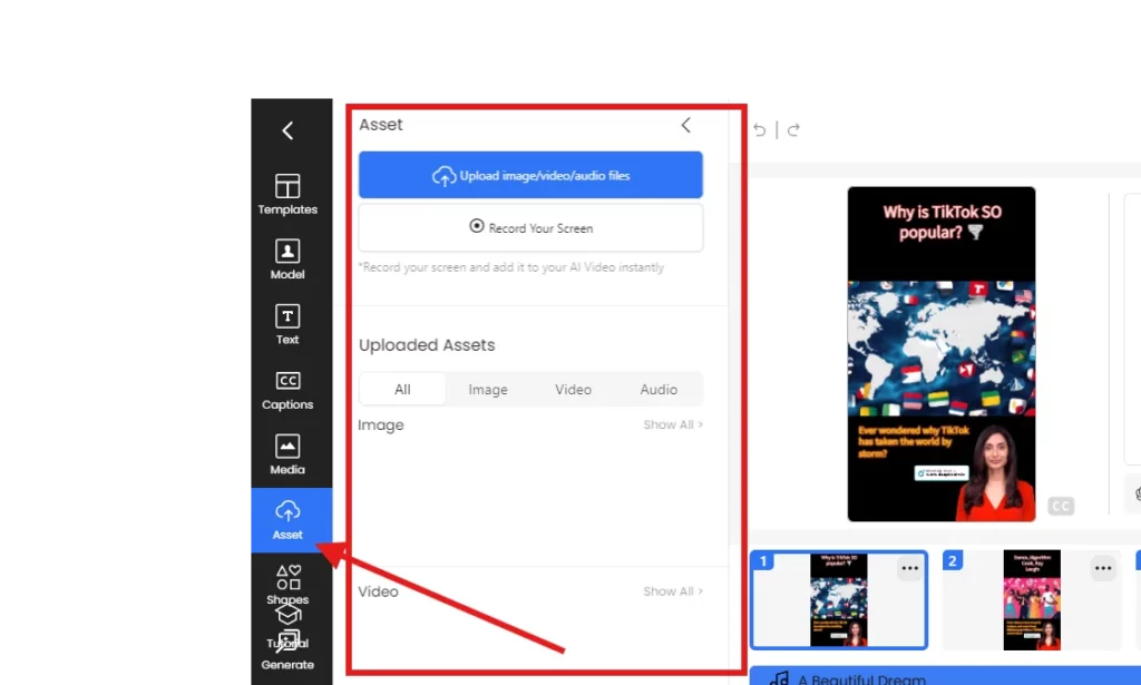 asset tab
