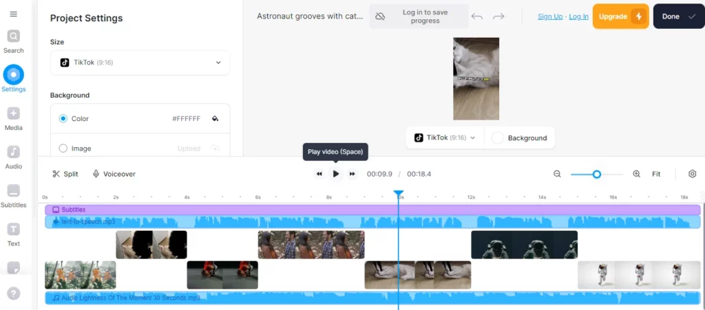 project setting tab in veed
