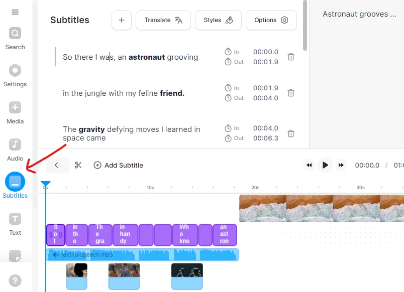 subtitle tab of veed.io best ai video generator