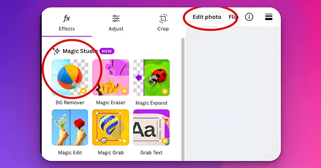 Choose “BG Remover” under “Magic Studio” to automatically remove the background