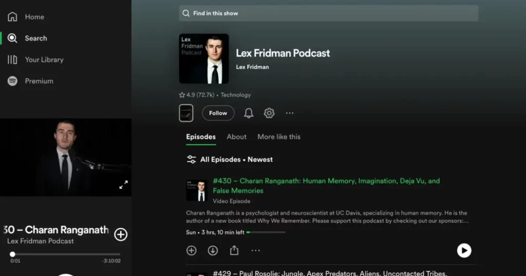 lex fridman podcast on ai
