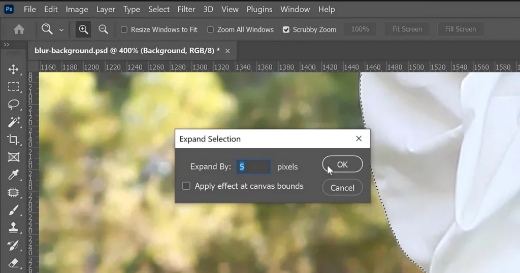 expand by about 5 pixels in photoshop - how to blur a background in photoshop