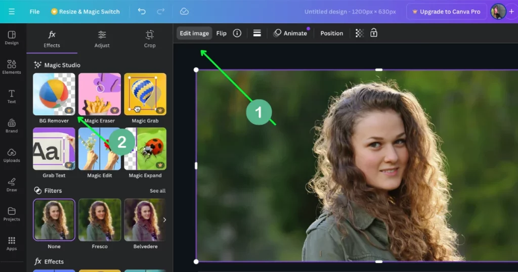how to remove background from picture in canva on pc