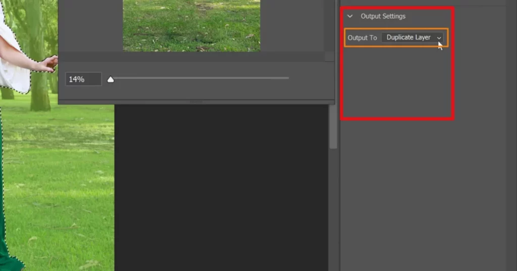 output to duplicate layer in photoshop to blur background in photoshop