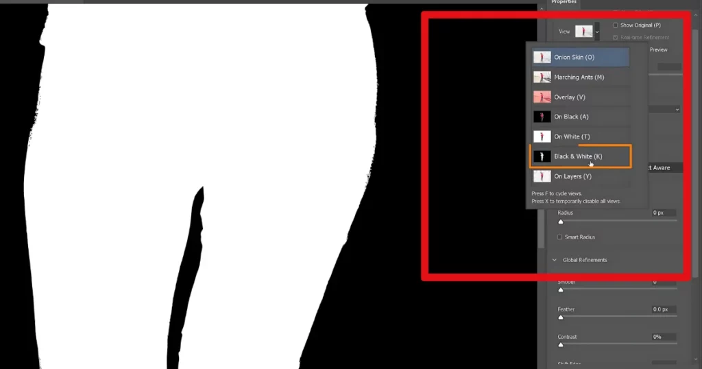 select black and white under view to remove background in photoshop