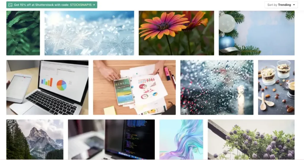 stocksnap trending images