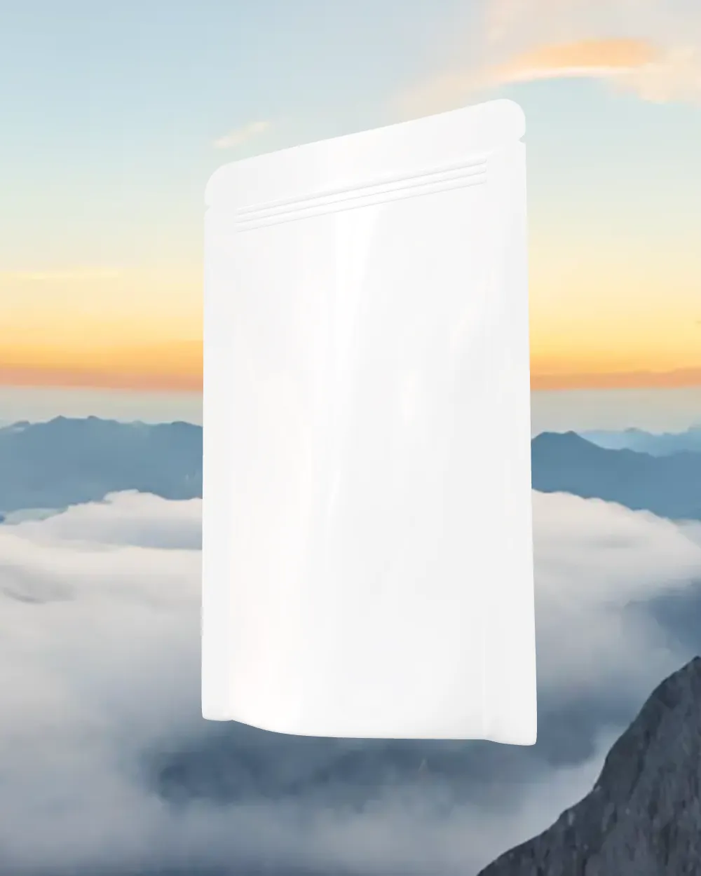 3d Pouch Mockup